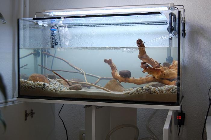 Klicke auf die Grafik fr eine grere Ansicht

Name:	Aquarium in Betrieb.jpg
Hits:	0
Gre:	231,3 KB
ID:	184584
