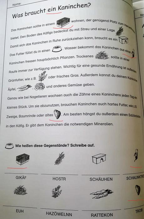 Klicke auf die Grafik fr eine grere Ansicht

Name:	Kaninchen_S.48 (2).jpg
Hits:	2
Gre:	235,5 KB
ID:	185983