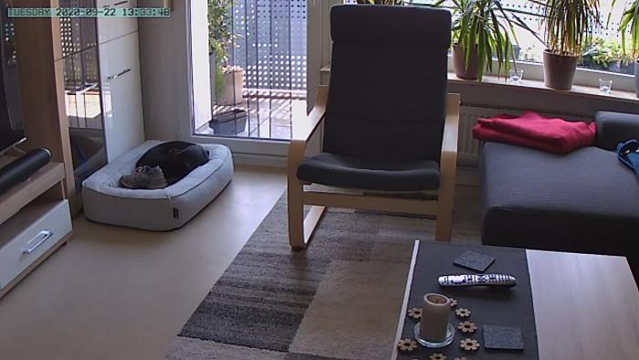 Klicke auf die Grafik fr eine grere Ansicht

Name:	1jfiegbraw16q_isLive 2020-09-22 13:33:49.jpg
Hits:	7
Gre:	43,8 KB
ID:	186352