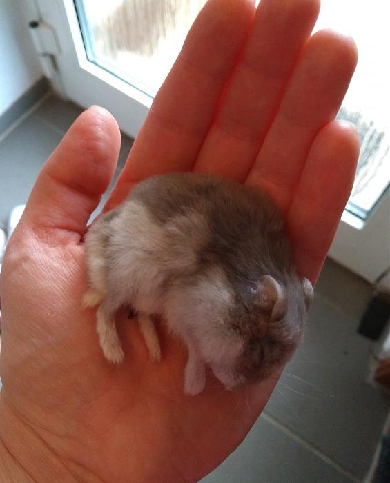 Klicke auf die Grafik f�r eine gr��ere Ansicht

Name:	signal-2020-09-24-182126.jpg
Hits:	1
Gr��e:	26,0 KB
ID:	186415