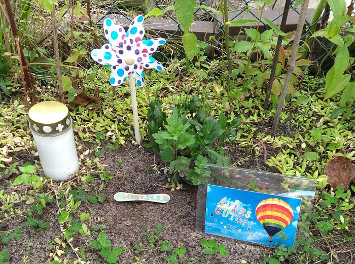 Klicke auf die Grafik f�r eine gr��ere Ansicht

Name:	signal-2020-09-30-164954.jpg
Hits:	1
Gr��e:	142,6 KB
ID:	186547