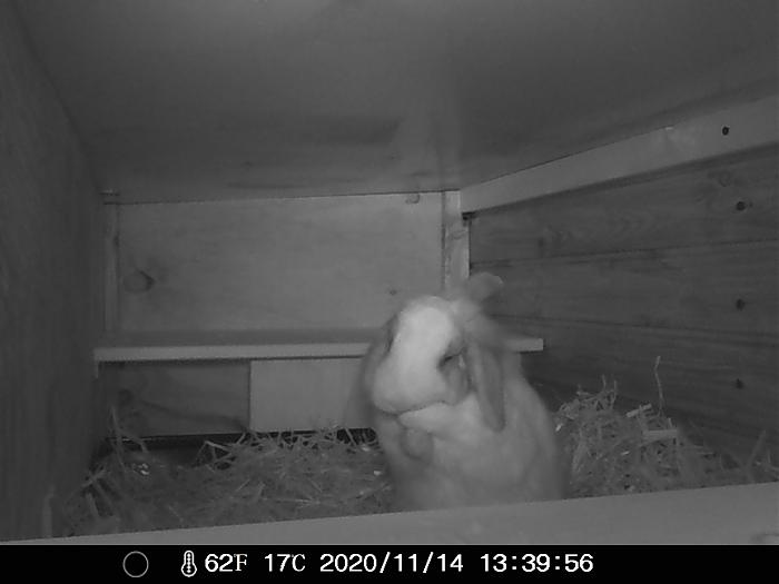 Klicke auf die Grafik f�r eine gr��ere Ansicht

Name:	IMAG0041.jpg
Hits:	0
Gr��e:	180,7 KB
ID:	187222