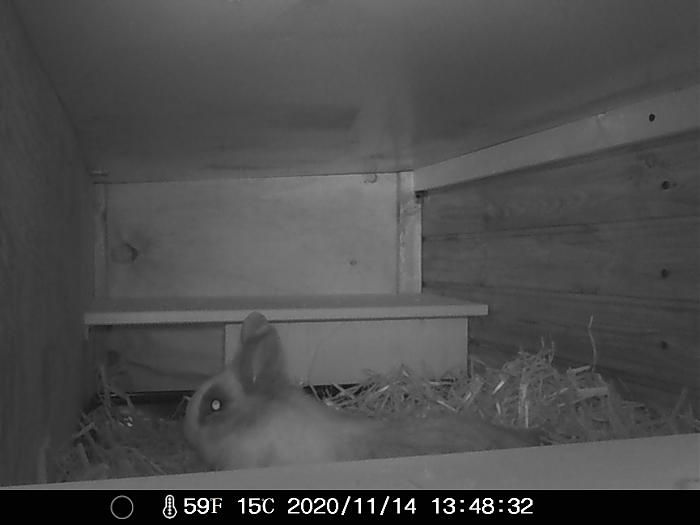 Klicke auf die Grafik f�r eine gr��ere Ansicht

Name:	IMAG0046.jpg
Hits:	0
Gr��e:	180,8 KB
ID:	187223