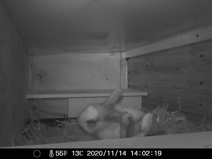 Klicke auf die Grafik f�r eine gr��ere Ansicht

Name:	IMAG0050.jpg
Hits:	0
Gr��e:	178,7 KB
ID:	187225