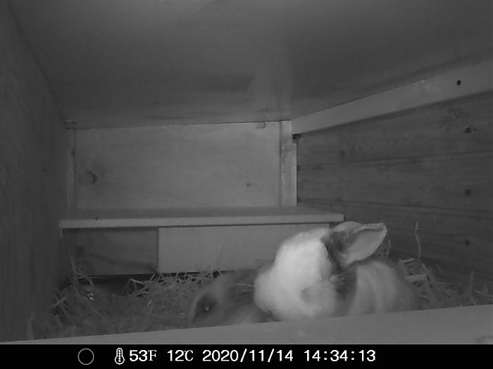 Klicke auf die Grafik f�r eine gr��ere Ansicht

Name:	IMAG0059.jpg
Hits:	0
Gr��e:	176,1 KB
ID:	187226