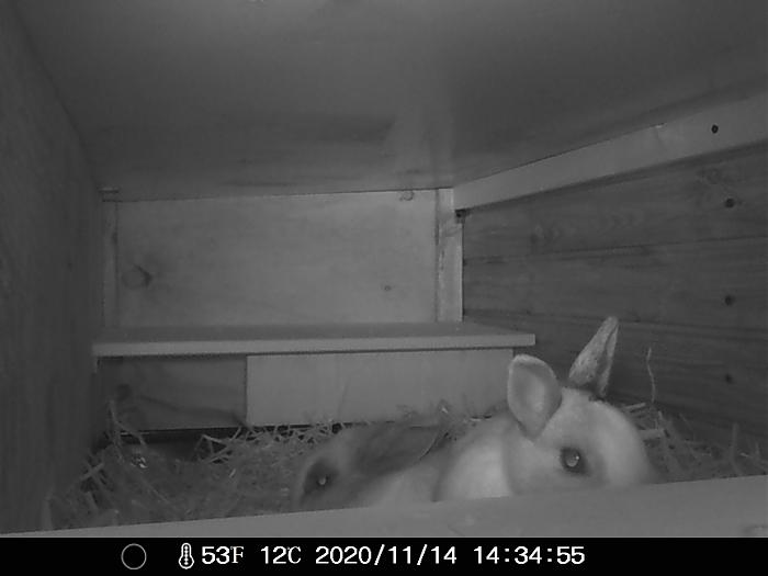 Klicke auf die Grafik f�r eine gr��ere Ansicht

Name:	IMAG0060.jpg
Hits:	0
Gr��e:	178,3 KB
ID:	187227