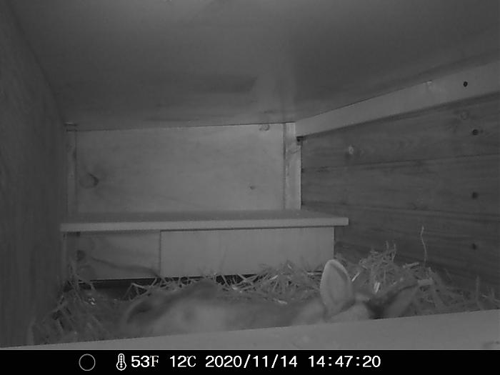 Klicke auf die Grafik f�r eine gr��ere Ansicht

Name:	IMAG0079.jpg
Hits:	0
Gr��e:	178,7 KB
ID:	187230