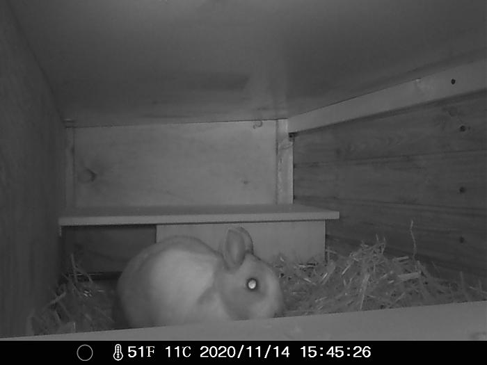 Klicke auf die Grafik f�r eine gr��ere Ansicht

Name:	IMAG0084.jpg
Hits:	0
Gr��e:	177,0 KB
ID:	187231