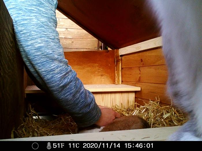 Klicke auf die Grafik f�r eine gr��ere Ansicht

Name:	Skaliert.jpg
Hits:	0
Gr��e:	236,1 KB
ID:	187232