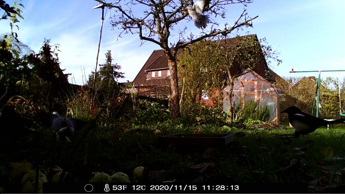 Klicke auf die Grafik f�r eine gr��ere Ansicht

Name:	Landeanflug.jpg
Hits:	0
Gr��e:	301,1 KB
ID:	187267