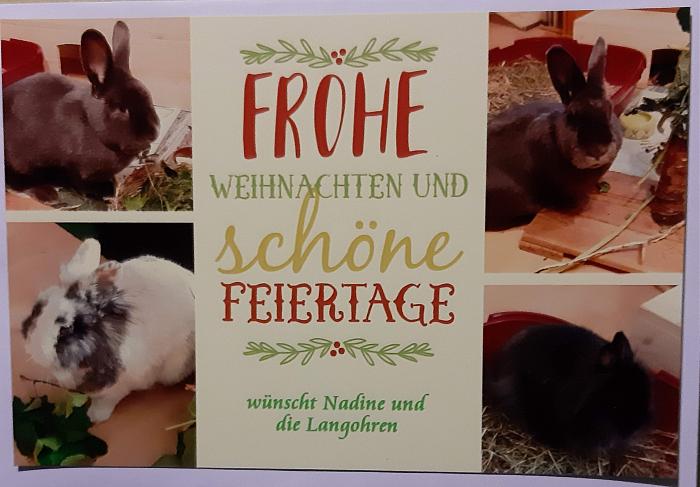Klicke auf die Grafik fr eine grere Ansicht

Name:	Weihnachten 2020.jpg
Hits:	1
Gre:	309,6 KB
ID:	187852