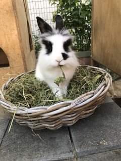 Klicke auf die Grafik fr eine grere Ansicht

Name:	received_1068949963626643.jpeg
Hits:	168
Gre:	13,3 KB
ID:	188183