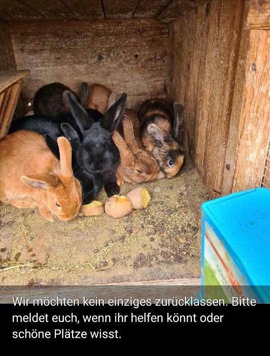 Klicke auf die Grafik f�r eine gr��ere Ansicht

Name:	Notfall Rottenburg1.jpg
Hits:	2
Gr��e:	186,3 KB
ID:	188373