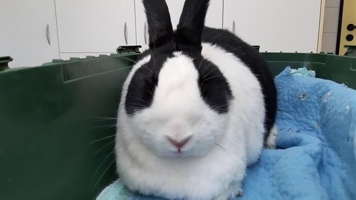 Klicke auf die Grafik f�r eine gr��ere Ansicht

Name:	20210213_102810.jpg
Hits:	1
Gr��e:	171,2 KB
ID:	188720