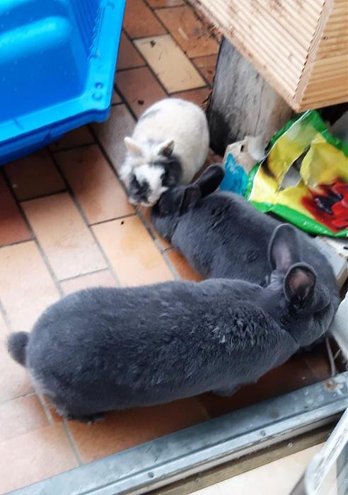 Klicke auf die Grafik fr eine grere Ansicht

Name:	Heile Welt.jpg
Hits:	0
Gre:	86,1 KB
ID:	188786