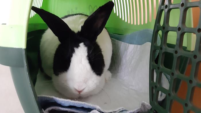 Klicke auf die Grafik f�r eine gr��ere Ansicht

Name:	20210220_101346.jpg
Hits:	0
Gr��e:	201,1 KB
ID:	188806