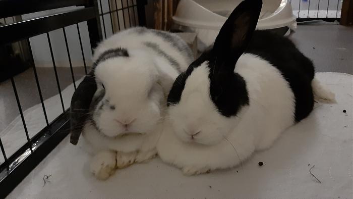 Klicke auf die Grafik f�r eine gr��ere Ansicht

Name:	20210215_225133.jpg
Hits:	0
Gr��e:	189,6 KB
ID:	188808