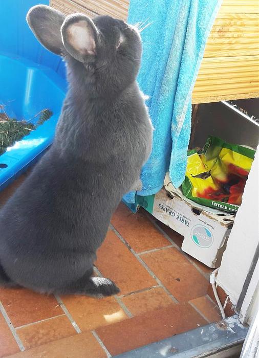 Klicke auf die Grafik fr eine grere Ansicht

Name:	Mama Ella auf dem Balkon.jpg
Hits:	1
Gre:	117,1 KB
ID:	189145