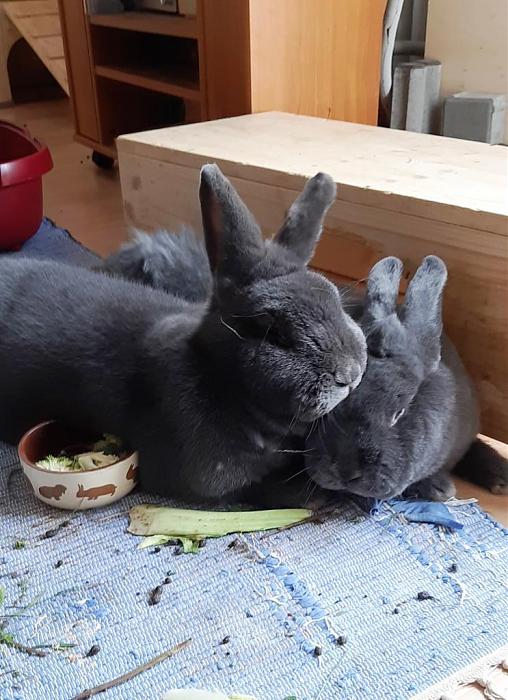 Klicke auf die Grafik fr eine grere Ansicht

Name:	Mama Ella und Anton.jpg
Hits:	0
Gre:	119,7 KB
ID:	189146