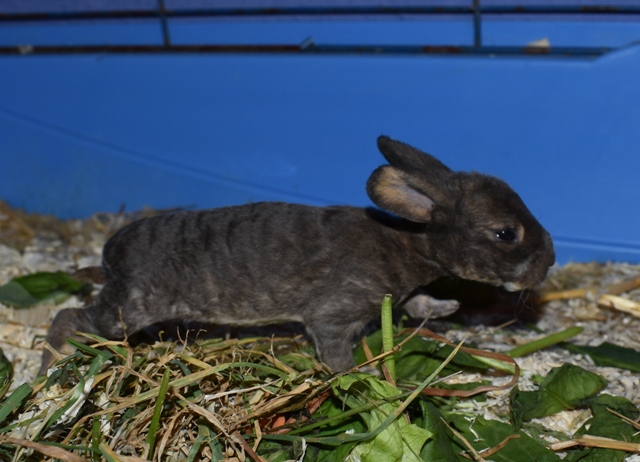 Klicke auf die Grafik f�r eine gr��ere Ansicht

Name:	5.jpg
Hits:	295
Gr��e:	144,9 KB
ID:	189217