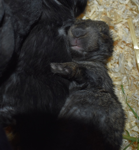 Klicke auf die Grafik f�r eine gr��ere Ansicht

Name:	3.jpg
Hits:	298
Gr��e:	114,9 KB
ID:	189219