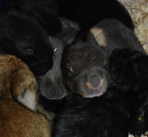 Klicke auf die Grafik f�r eine gr��ere Ansicht

Name:	2.jpg
Hits:	293
Gr��e:	101,2 KB
ID:	189220