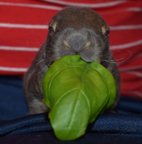 Klicke auf die Grafik f�r eine gr��ere Ansicht

Name:	10.jpg
Hits:	293
Gr��e:	99,5 KB
ID:	189221