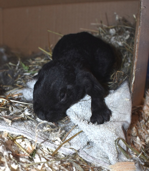 Klicke auf die Grafik f�r eine gr��ere Ansicht

Name:	1.jpg
Hits:	302
Gr��e:	154,8 KB
ID:	189222