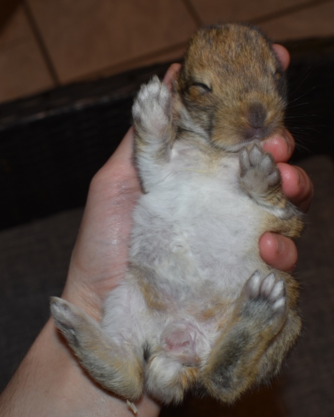 Klicke auf die Grafik f�r eine gr��ere Ansicht

Name:	9.jpg
Hits:	293
Gr��e:	118,7 KB
ID:	189223