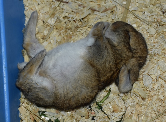 Klicke auf die Grafik f�r eine gr��ere Ansicht

Name:	8.jpg
Hits:	304
Gr��e:	169,9 KB
ID:	189224