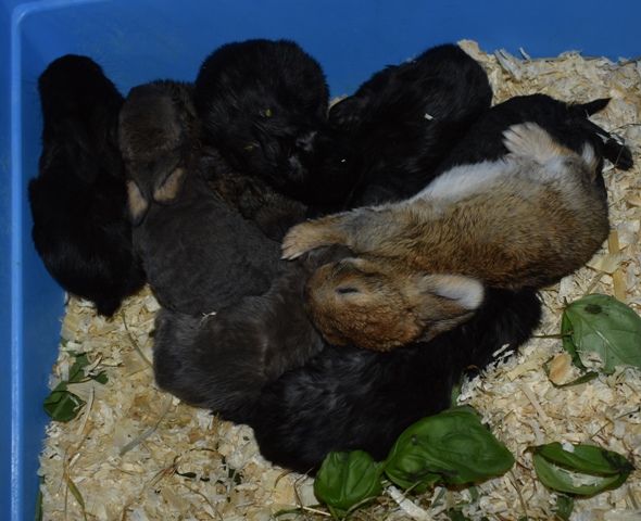 Klicke auf die Grafik f�r eine gr��ere Ansicht

Name:	7.jpg
Hits:	299
Gr��e:	143,2 KB
ID:	189225