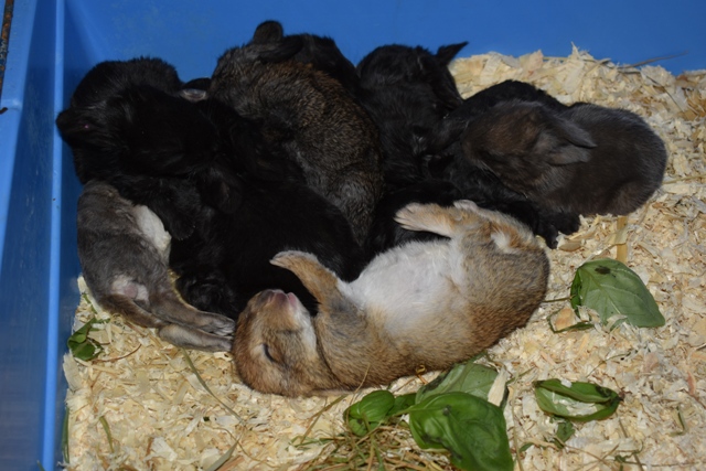 Klicke auf die Grafik f�r eine gr��ere Ansicht

Name:	6.jpg
Hits:	303
Gr��e:	162,3 KB
ID:	189226