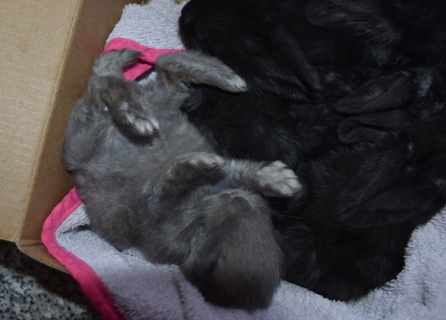 Klicke auf die Grafik f�r eine gr��ere Ansicht

Name:	a.jpg
Hits:	236
Gr��e:	138,3 KB
ID:	189294