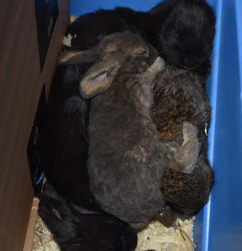 Klicke auf die Grafik f�r eine gr��ere Ansicht

Name:	aaa.jpg
Hits:	236
Gr��e:	113,2 KB
ID:	189295