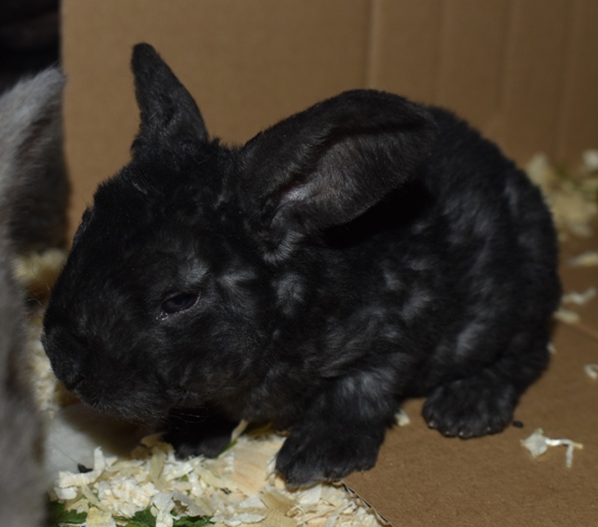 Klicke auf die Grafik f�r eine gr��ere Ansicht

Name:	5.jpg
Hits:	153
Gr��e:	105,3 KB
ID:	189317