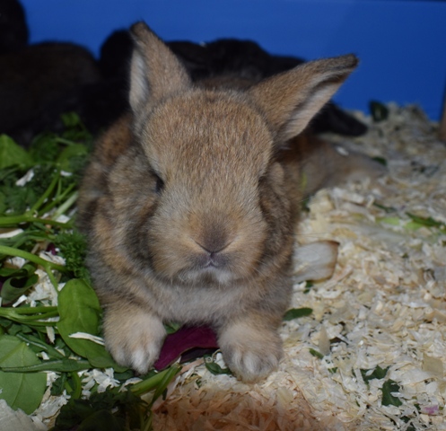 Klicke auf die Grafik f�r eine gr��ere Ansicht

Name:	4.jpg
Hits:	154
Gr��e:	129,5 KB
ID:	189318