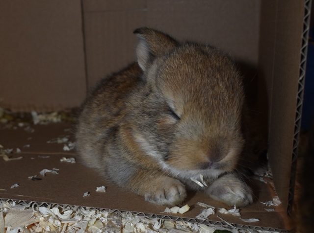 Klicke auf die Grafik f�r eine gr��ere Ansicht

Name:	3.jpg
Hits:	153
Gr��e:	134,8 KB
ID:	189319