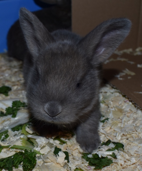 Klicke auf die Grafik f�r eine gr��ere Ansicht

Name:	2.jpg
Hits:	153
Gr��e:	129,1 KB
ID:	189320