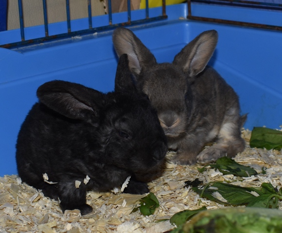 Klicke auf die Grafik f�r eine gr��ere Ansicht

Name:	1.jpg
Hits:	151
Gr��e:	141,6 KB
ID:	189321