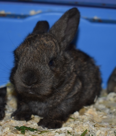 Klicke auf die Grafik f�r eine gr��ere Ansicht

Name:	6.jpg
Hits:	152
Gr��e:	114,0 KB
ID:	189322