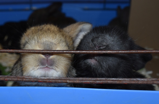 Klicke auf die Grafik f�r eine gr��ere Ansicht

Name:	7.jpg
Hits:	150
Gr��e:	118,1 KB
ID:	189323