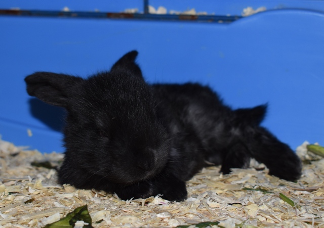 Klicke auf die Grafik f�r eine gr��ere Ansicht

Name:	8.jpg
Hits:	148
Gr��e:	122,9 KB
ID:	189324