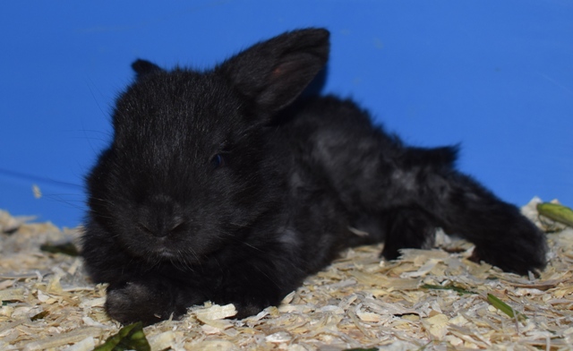 Klicke auf die Grafik f�r eine gr��ere Ansicht

Name:	9.jpg
Hits:	152
Gr��e:	112,0 KB
ID:	189325