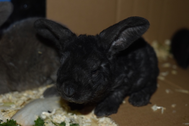 Klicke auf die Grafik f�r eine gr��ere Ansicht

Name:	11.jpg
Hits:	149
Gr��e:	87,6 KB
ID:	189326