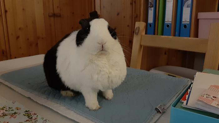 Klicke auf die Grafik f�r eine gr��ere Ansicht

Name:	20210327_060618.jpg
Hits:	0
Gr��e:	209,9 KB
ID:	189356