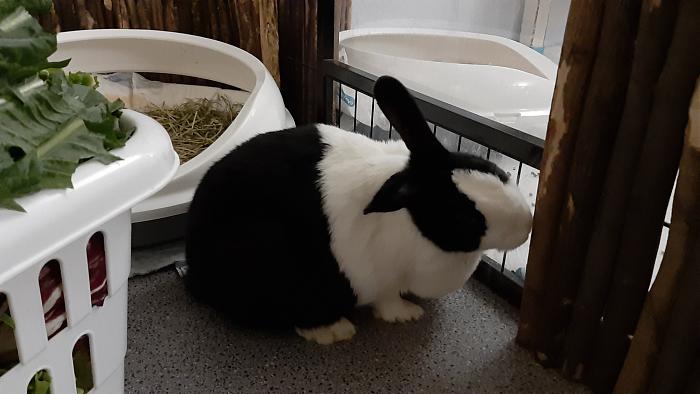 Klicke auf die Grafik f�r eine gr��ere Ansicht

Name:	20210322_191104.jpg
Hits:	0
Gr��e:	230,0 KB
ID:	189359