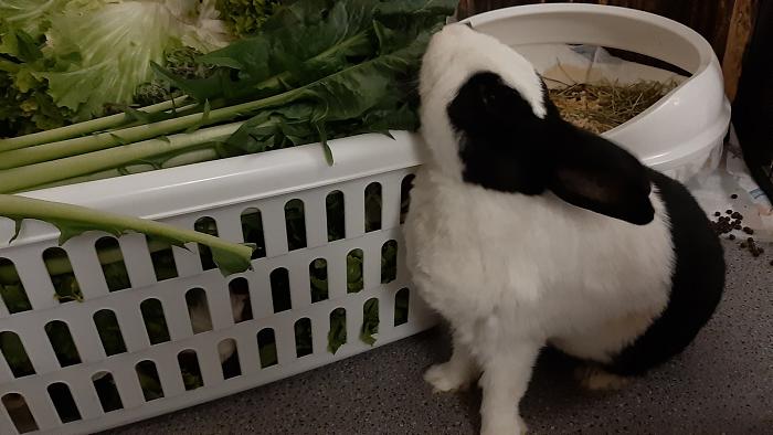 Klicke auf die Grafik f�r eine gr��ere Ansicht

Name:	20210322_190942.jpg
Hits:	0
Gr��e:	273,8 KB
ID:	189360