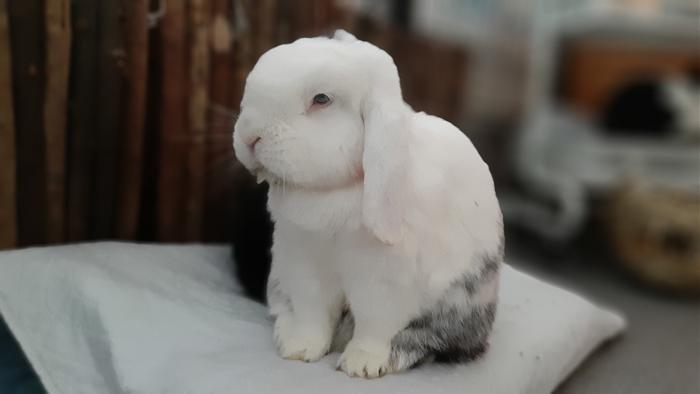 Klicke auf die Grafik f�r eine gr��ere Ansicht

Name:	20210328_095849.jpg
Hits:	0
Gr��e:	127,6 KB
ID:	189363