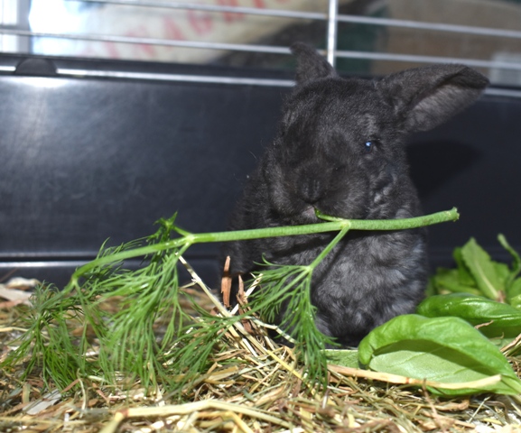 Klicke auf die Grafik f�r eine gr��ere Ansicht

Name:	5.jpg
Hits:	356
Gr��e:	159,0 KB
ID:	189385