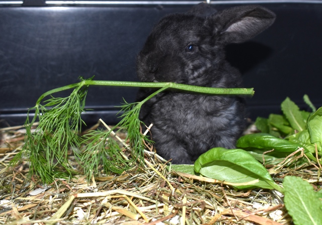 Klicke auf die Grafik f�r eine gr��ere Ansicht

Name:	4.jpg
Hits:	363
Gr��e:	186,5 KB
ID:	189386